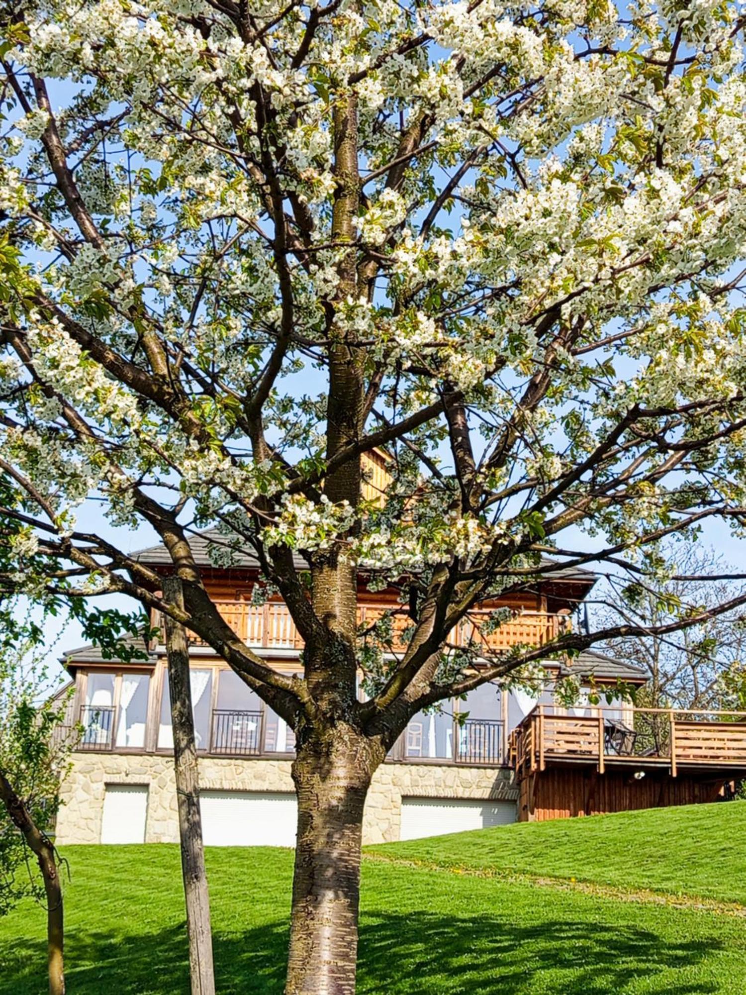 Dom Na Rozcesciu Bed and Breakfast Koniaków Buitenkant foto